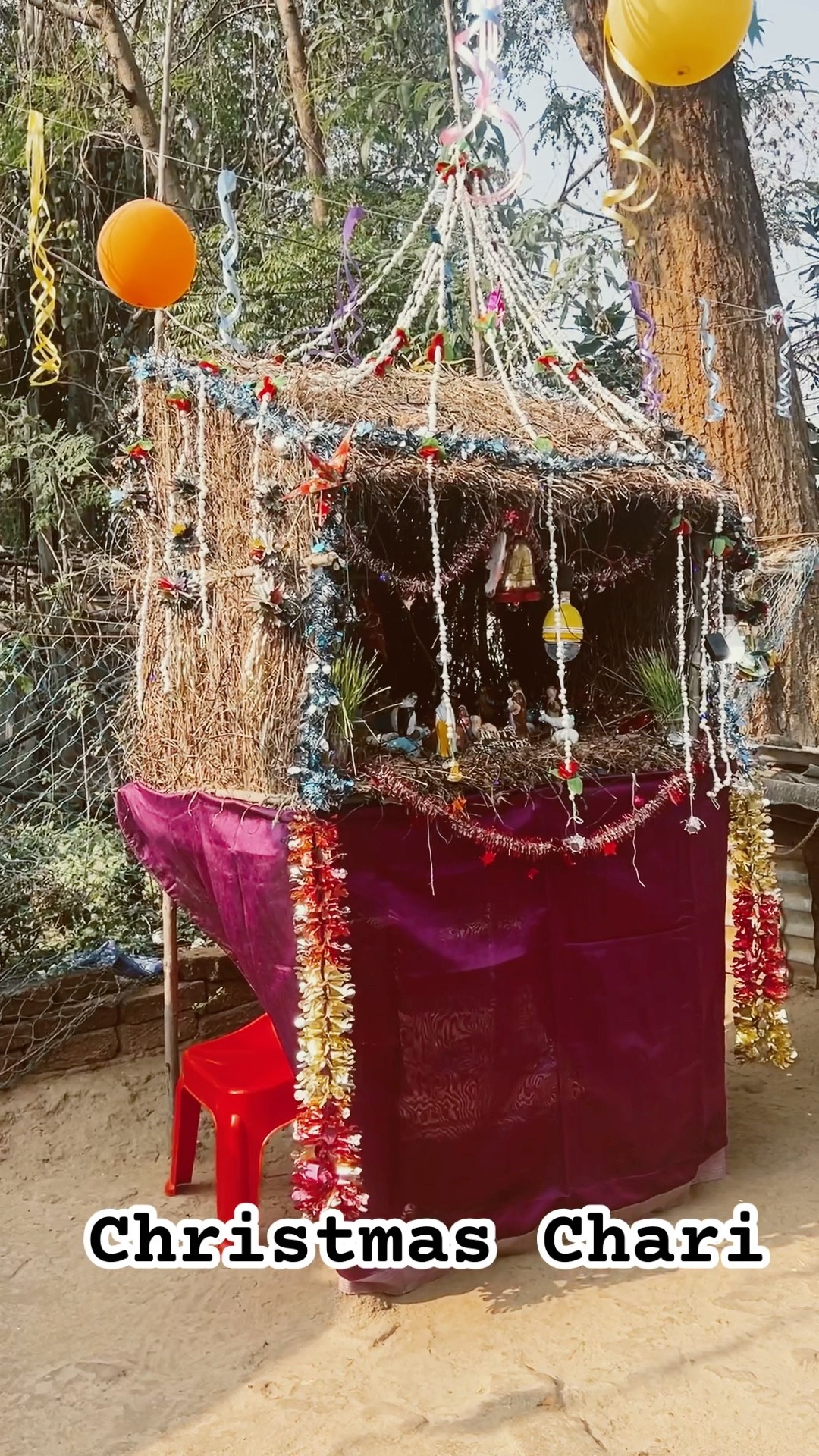 Christmas Charni Duldula